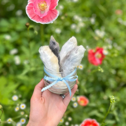 Freeze Dried Rabbit Back Feet