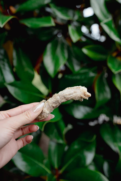 CHICKEN NECK | Freeze-Dried Dog + Cat Treat - Niuniu's Pet Shop
