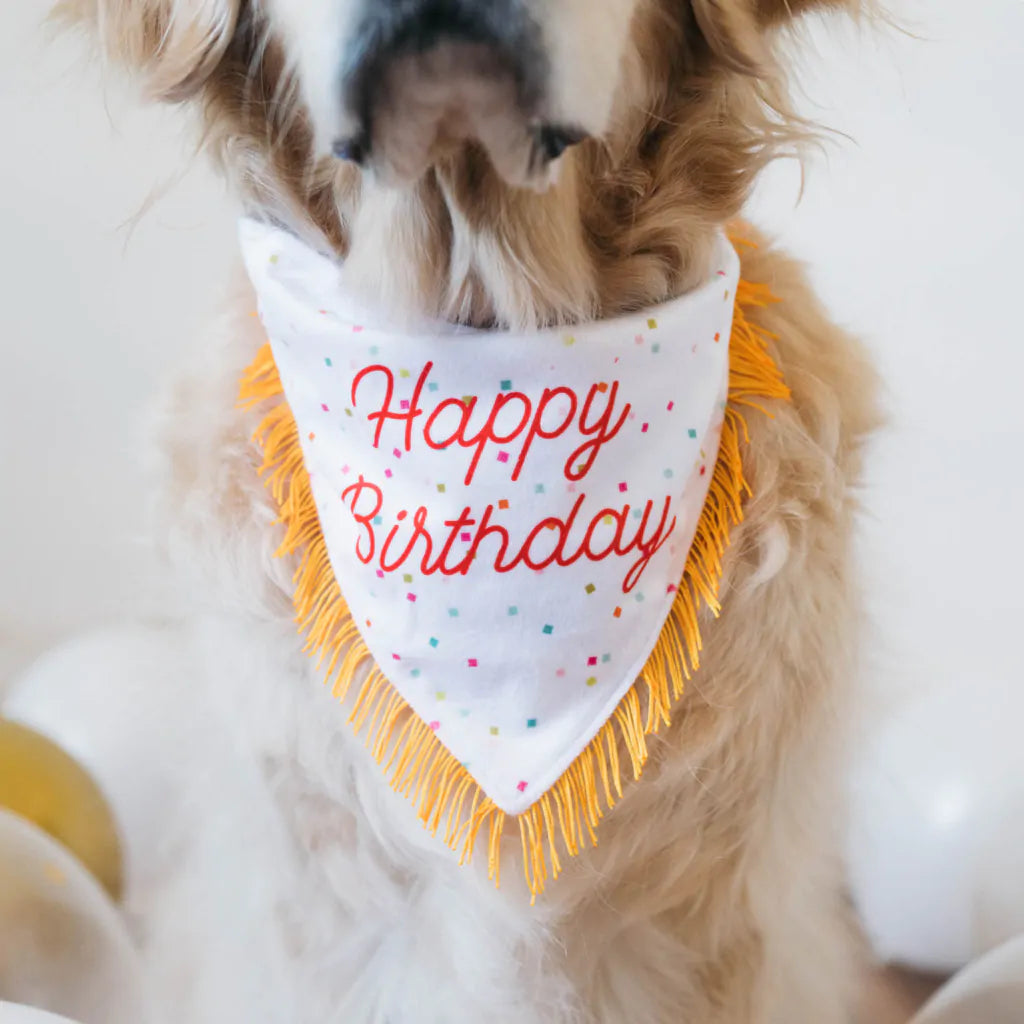 Birthday Bandana and Bone 2-Pack