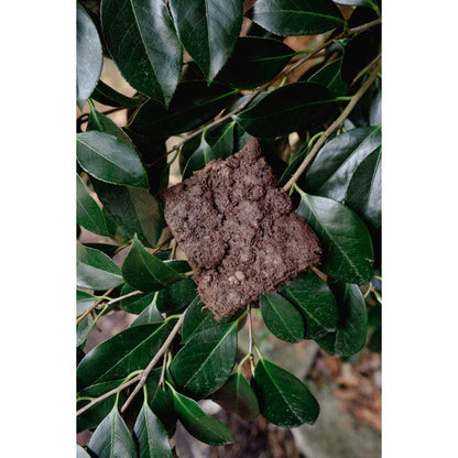 Beaver | Freeze-Dried Dog + Cat Treat - Niuniu's Pet Shop