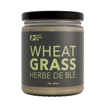 Organic Wheatgrass - Nutrient-Rich Dog Supplement