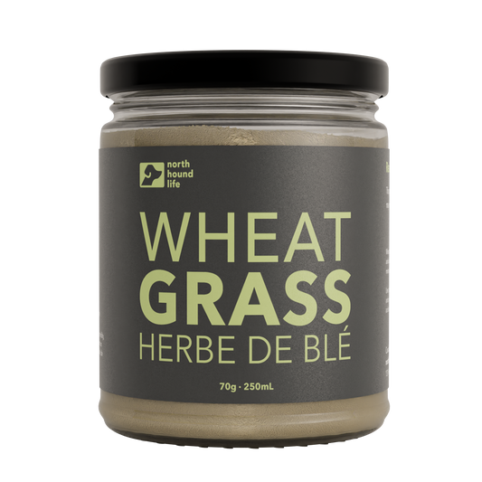 Organic Wheatgrass - Nutrient-Rich Dog Supplement