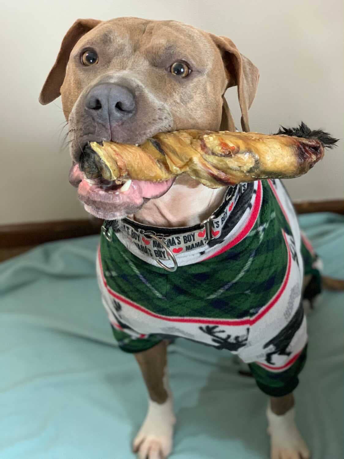 Rabbit Rawhides (Baguettes, Braids & Twists)