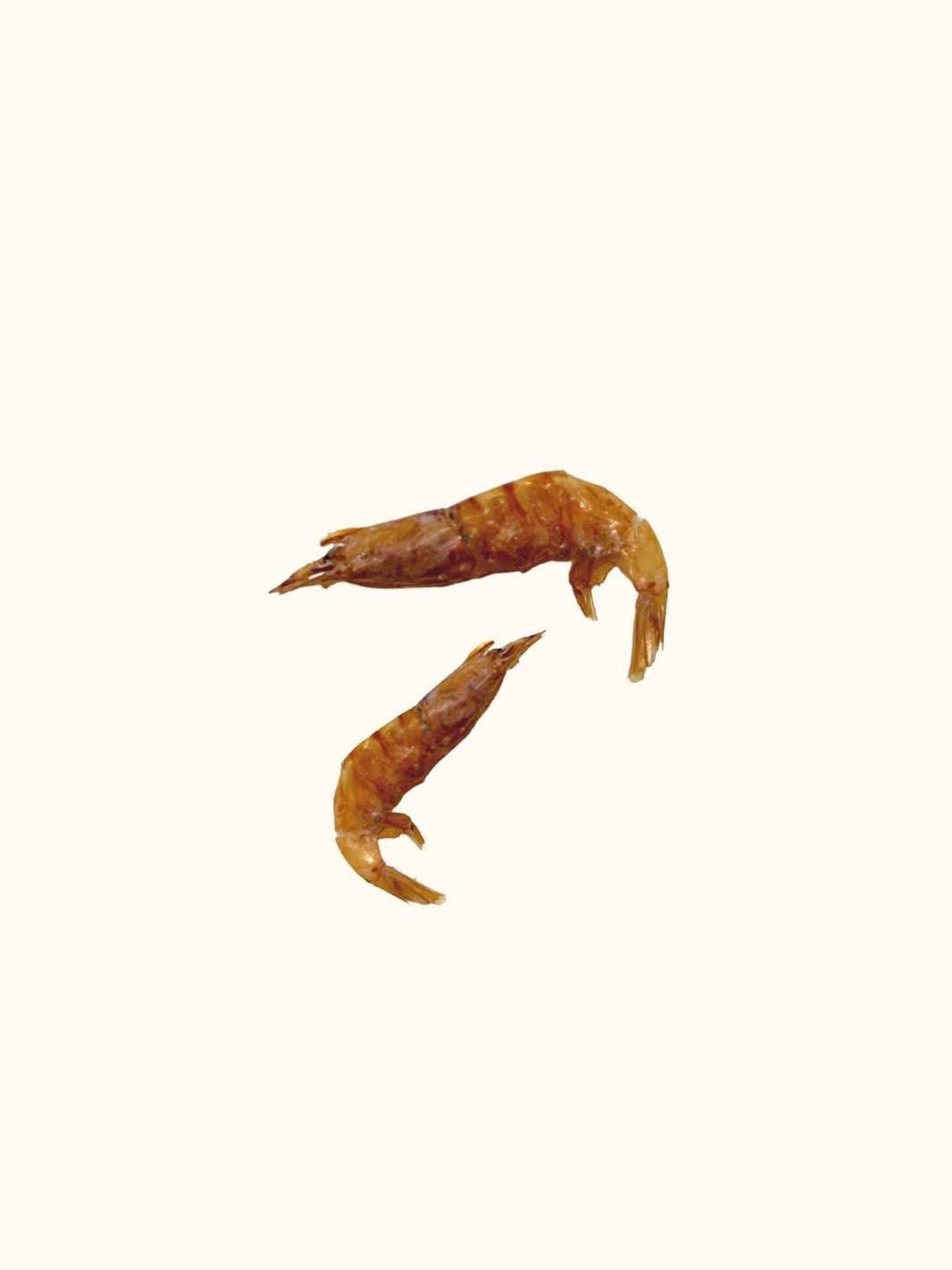 Shrimps