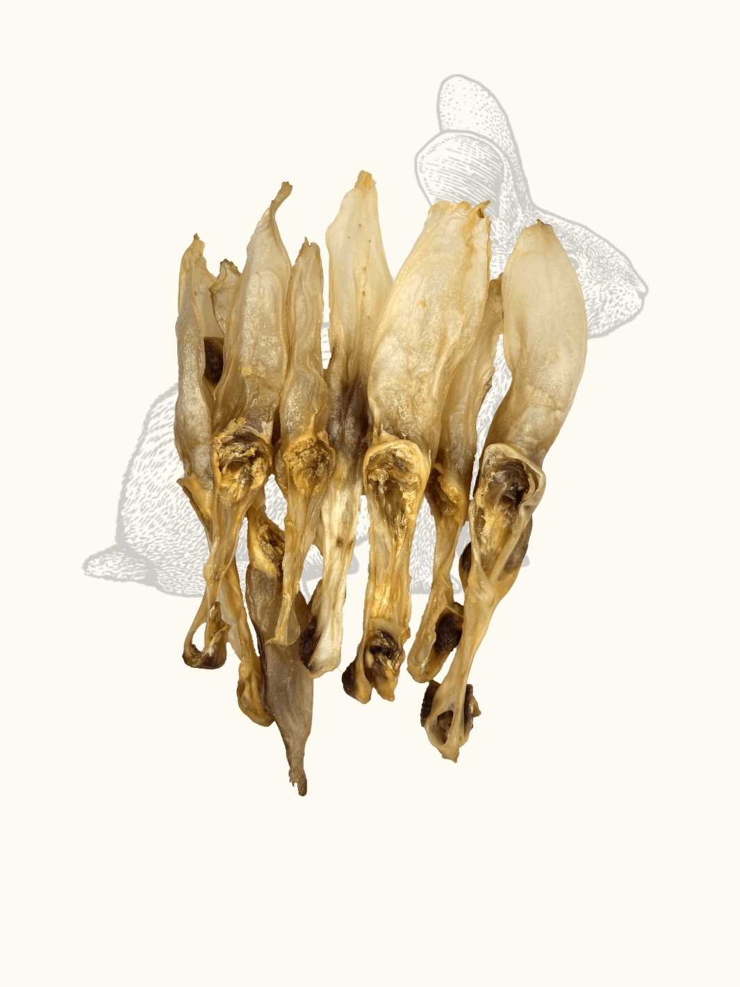 Rabbit ears
