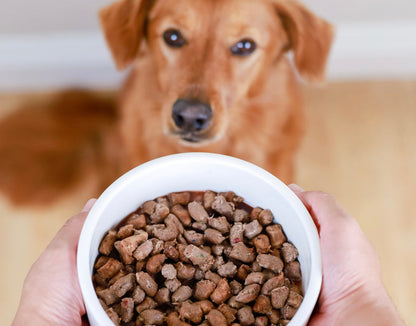 Huntaway Freeze-Dried Raw Venison Dog Food - Niuniu's Pet Shop