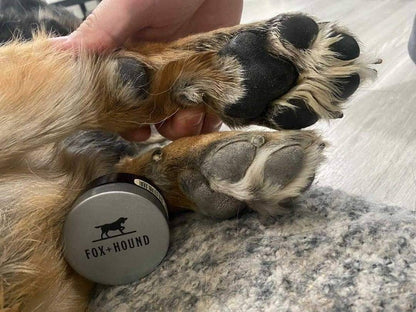 FOX + HOUND STORMIE'S PAW PAD PROTECTION | ALL SEASONS - Niuniu's Pet Shop
