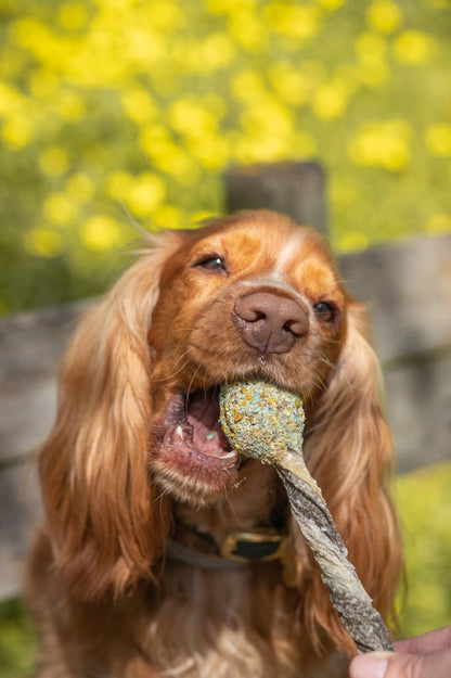 Lollipop - Chewy Fun For Dogs and Some Cats - Niuniu's Pet Shop