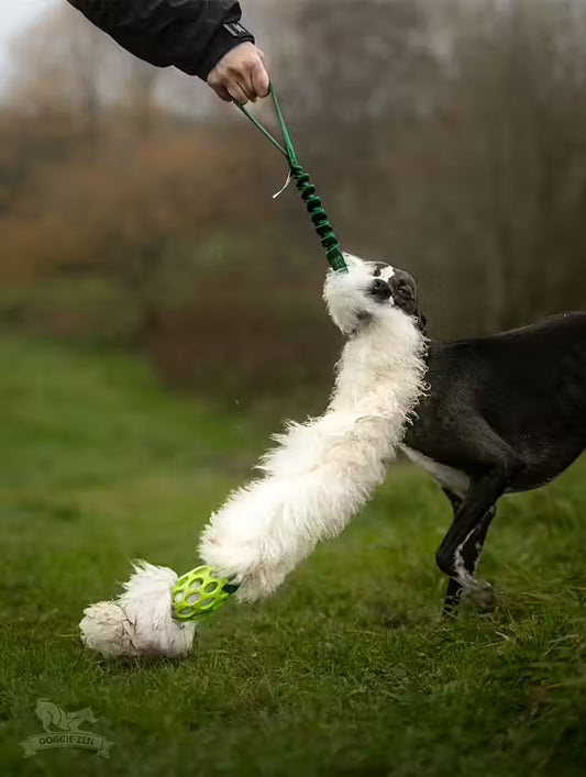 Bungee Hol-ee Comet Chaser Tug L Sheepskin