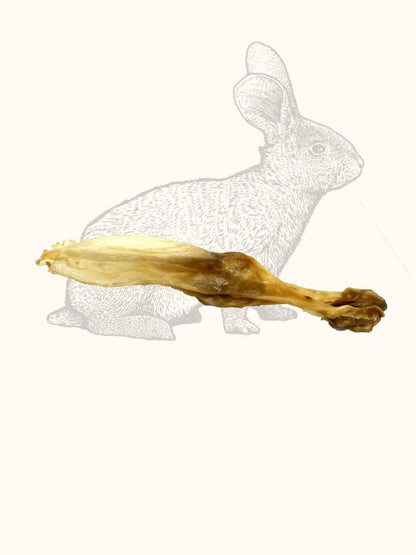 Rabbit ears