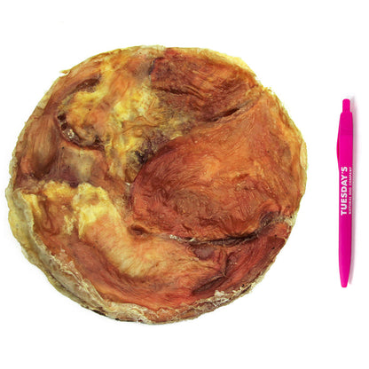 Tuesday's Tremenda Disc Chews - 3 Pack - Niuniu's Pet Shop