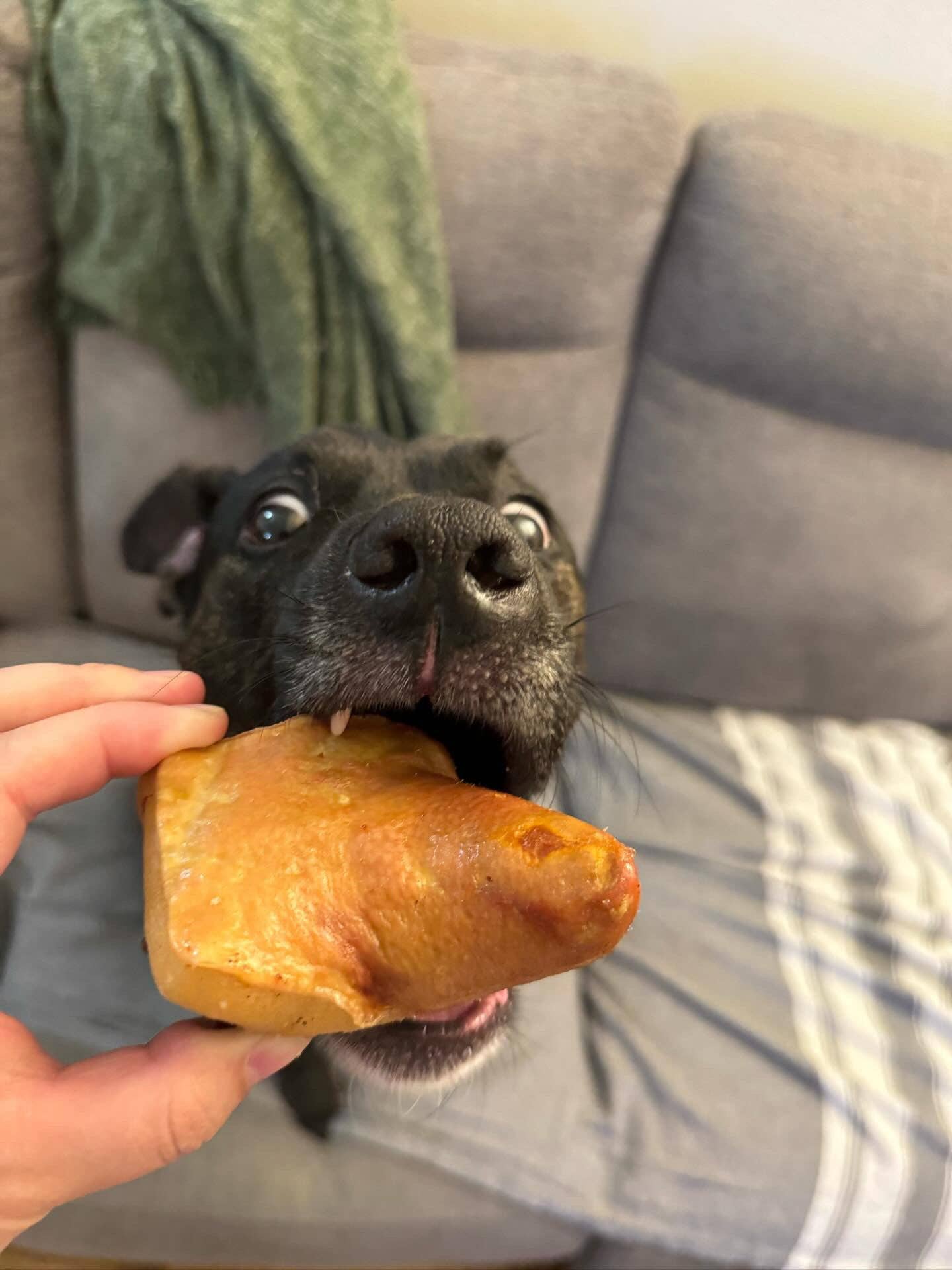 Pork Tails