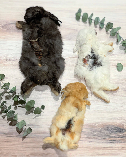 Whole Prey Rabbit Fuzzies - Limited Edition