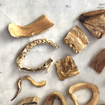 Gourmate Wild Caught Calamari | 100% Squid Treat - Niuniu's Pet Shop