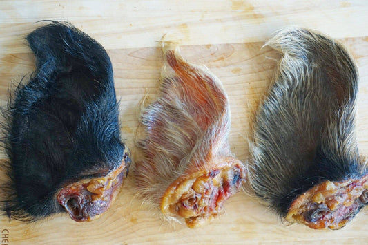 Pig Ear (Hairy)
