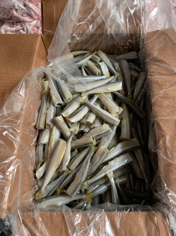 Smelt (Wild Caught)(+ Freeze Dried Options)