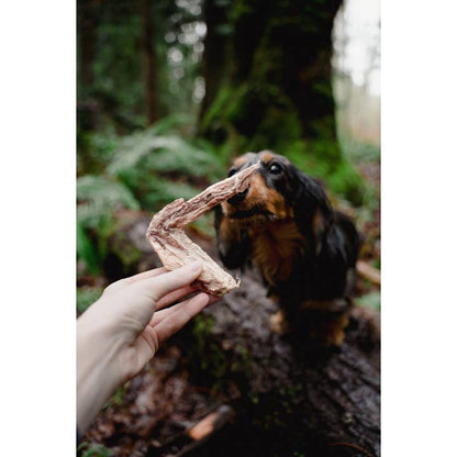 Duck Wing | Freeze-Dried Dog + Cat Treat - Niuniu's Pet Shop