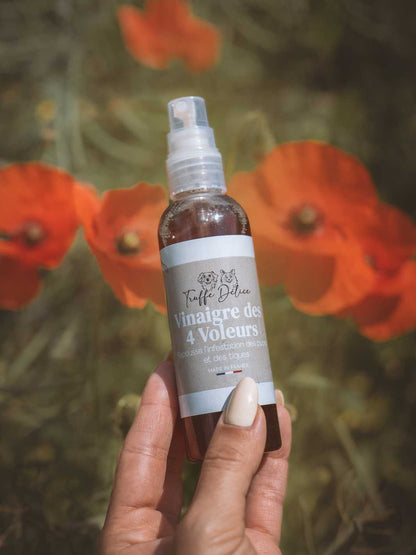 Four Thieves Vinegar - Dog Antiparasitic