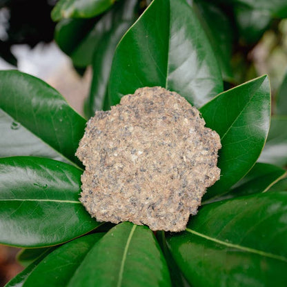 Whole Prey Ground Quail | Freeze-Dried Dog + Cat Treat - Niuniu's Pet Shop