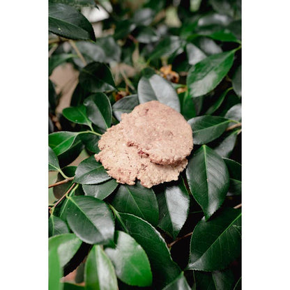 Butchered Ground Rabbit | Freeze-Dried Dog + Cat Treat - Niuniu's Pet Shop