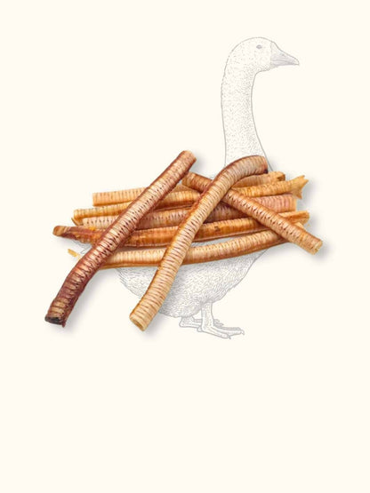 Goose tracheas