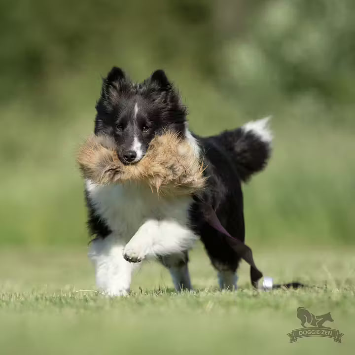 Fox Chaser Tug L